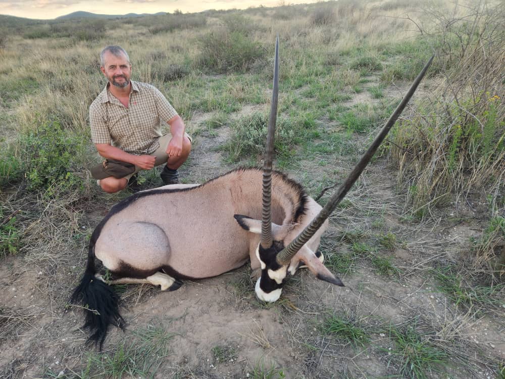 Gemsbok (Oryx) in Namibia