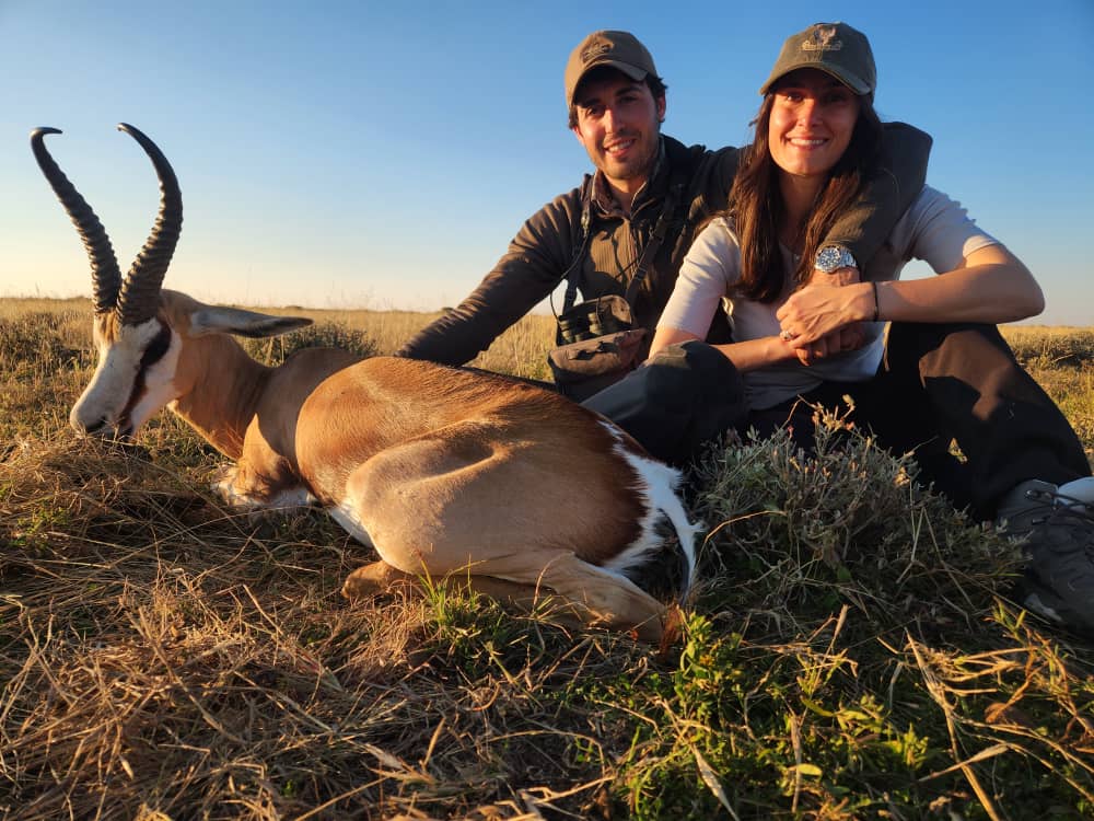 Springbok at Sunset