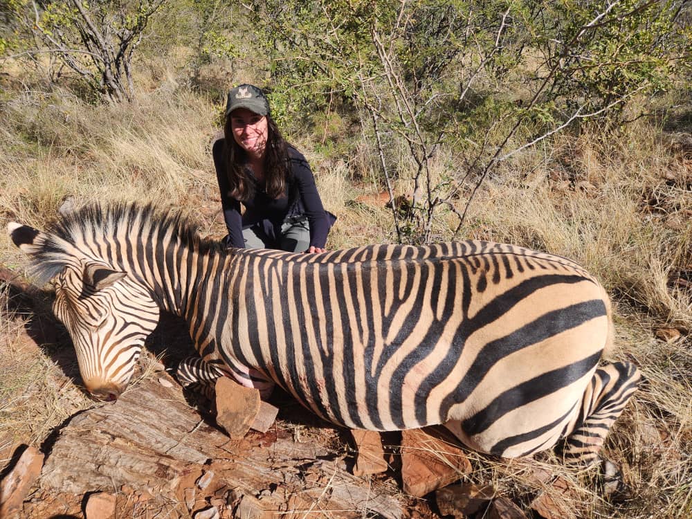 Burchell's Zebra