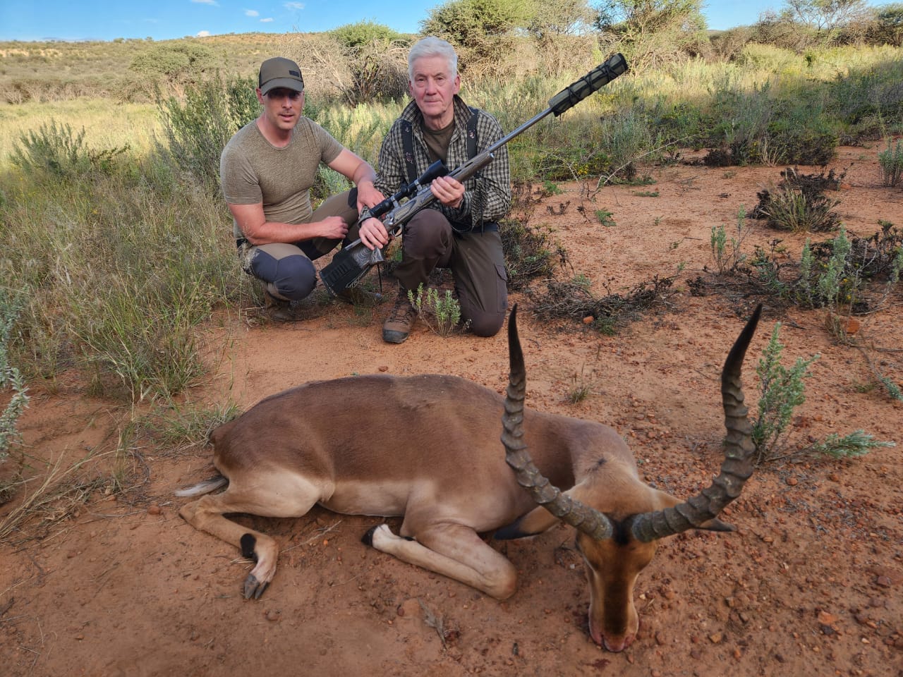 Impala Ram